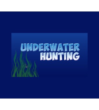 Underwater hunting Steam Key GLOBAL